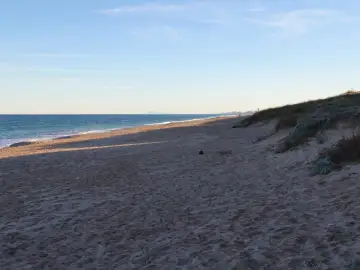 Playa de la Garrofera