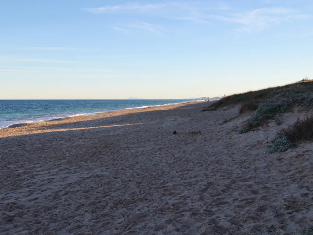 Playa de la Garrofera