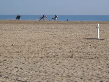 Playa de la Malvarrosa