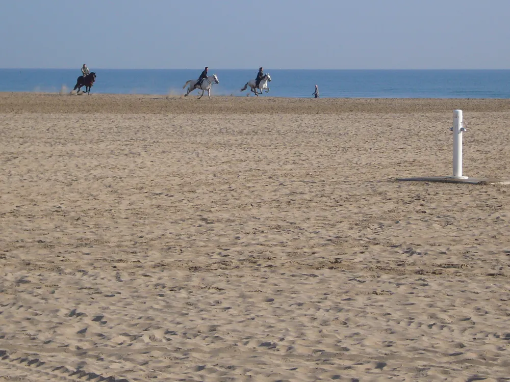 Playa de la Malvarrosa
