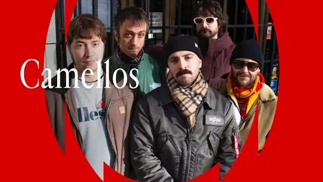 CAMELLOS