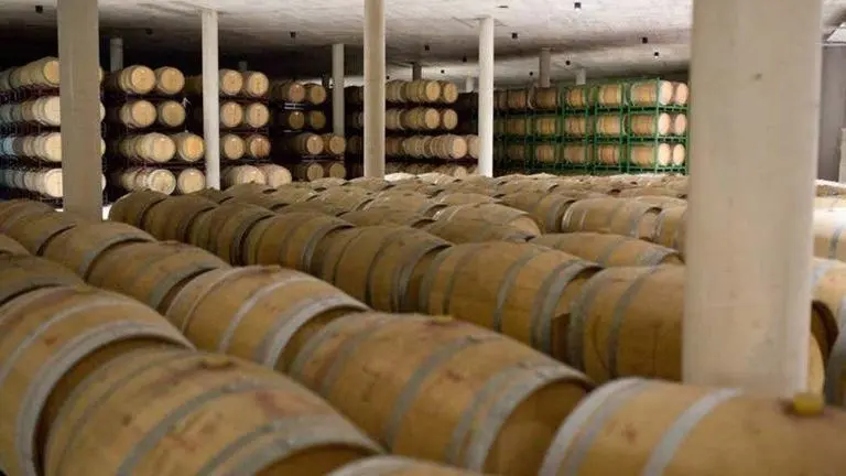 Visita a la bodega Raíces Ibéricas