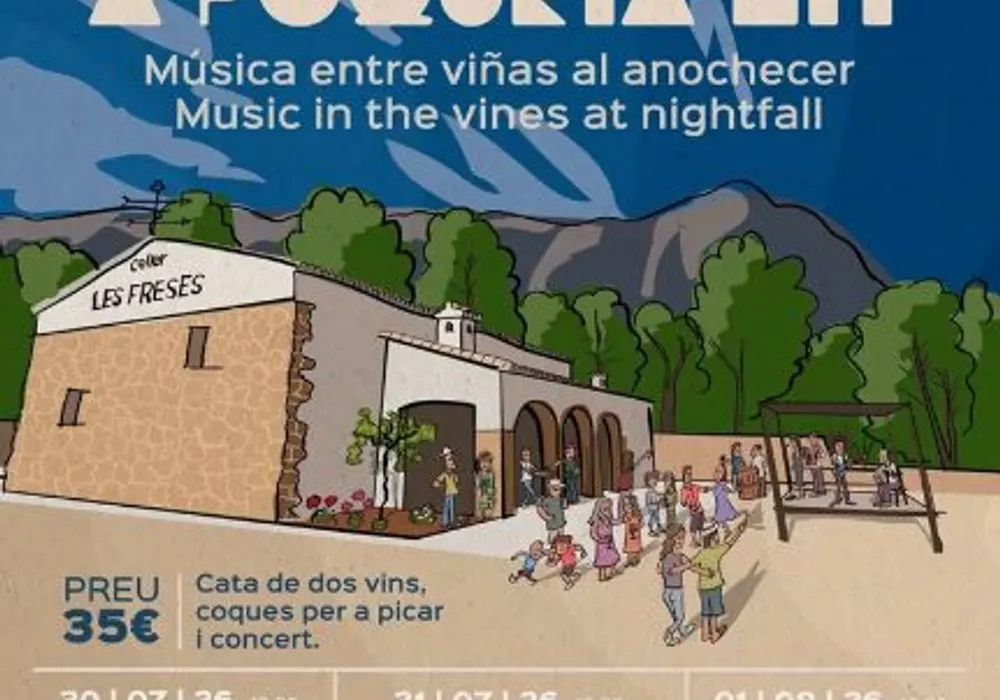 Música entre viñas al atardecer