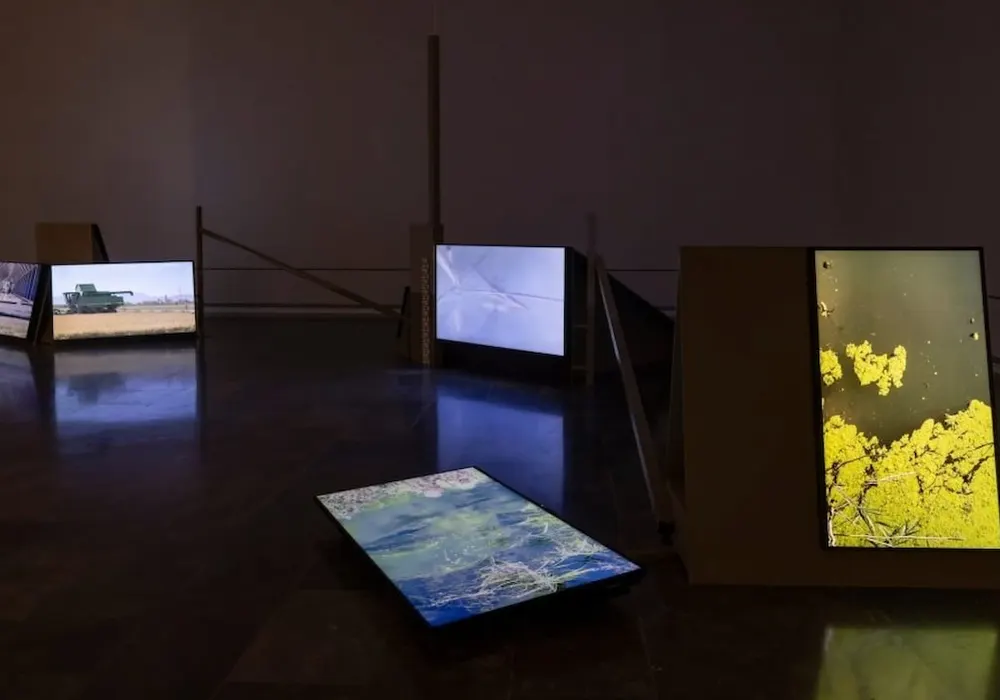 Exposición sobre L'Albufera en el IVAM de València