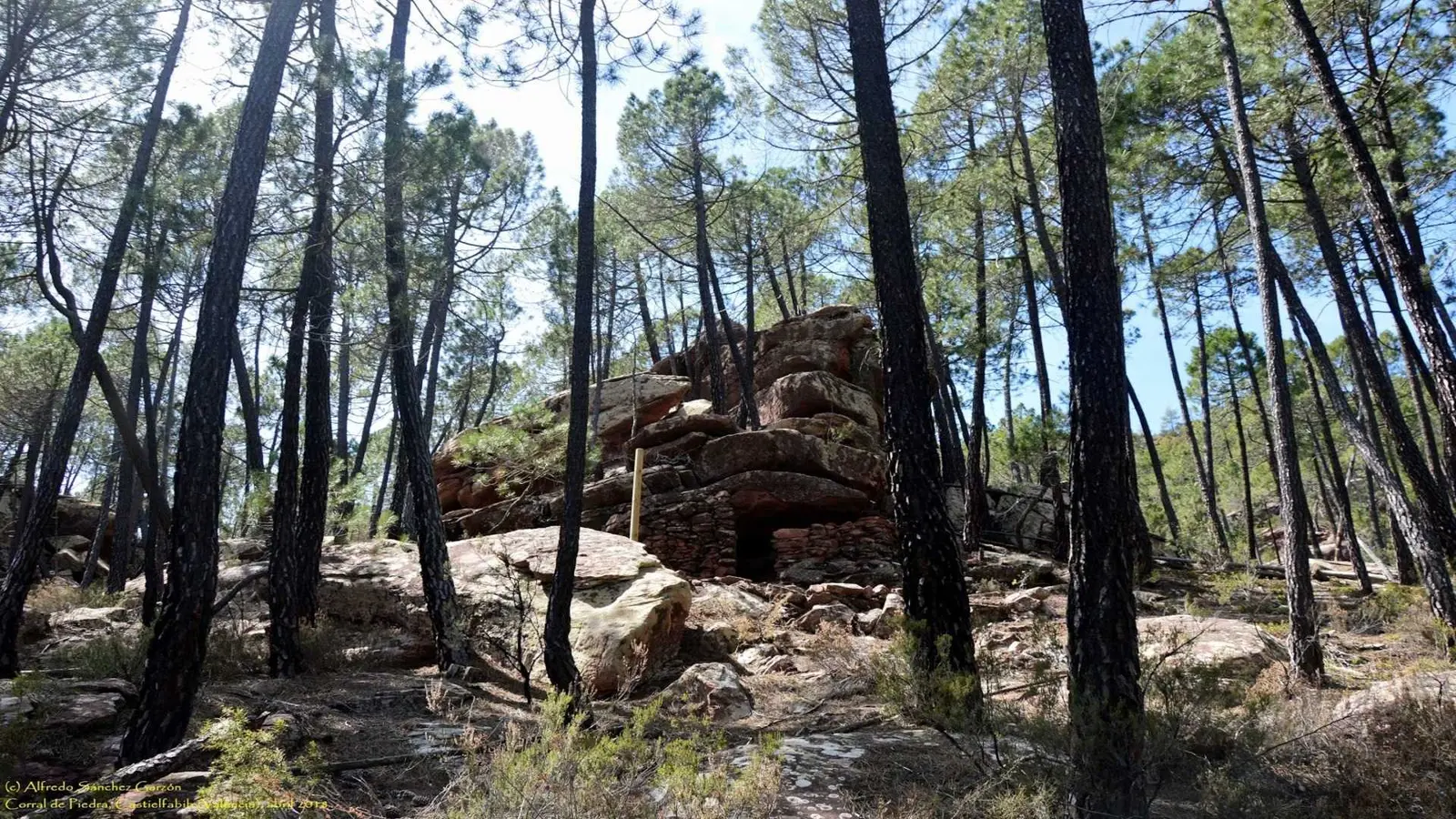Visita al Yacimiento de las Lomas de Abril