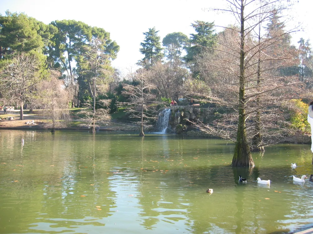 Lago de Anna (Albufera de Anna)