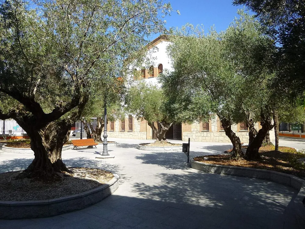 Ermita del Santísimo Cristo de la Salud