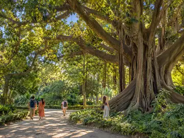 La Glorieta y El Parterre