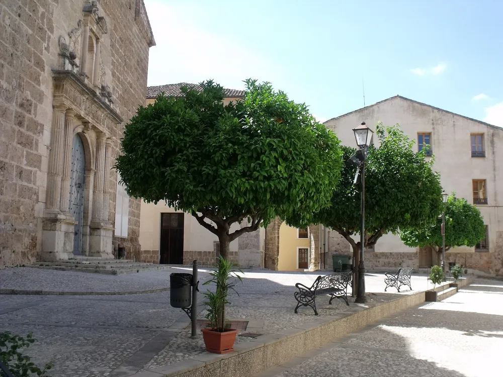 Iglesia de la Asunción (Albaida)