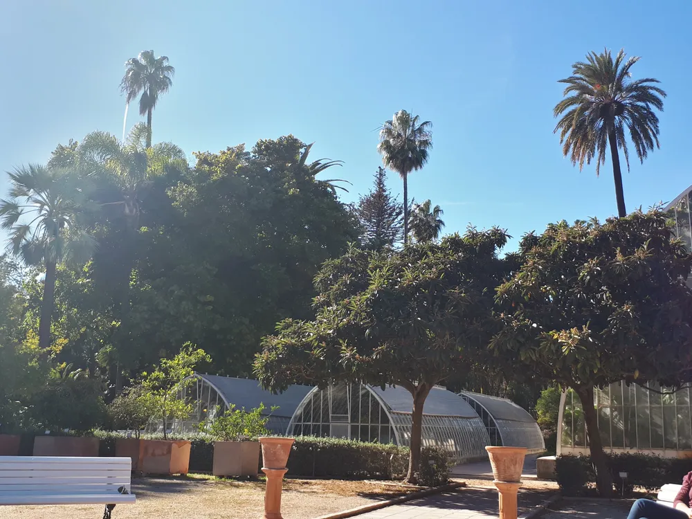 Jardí Botànic de la Universitat de València