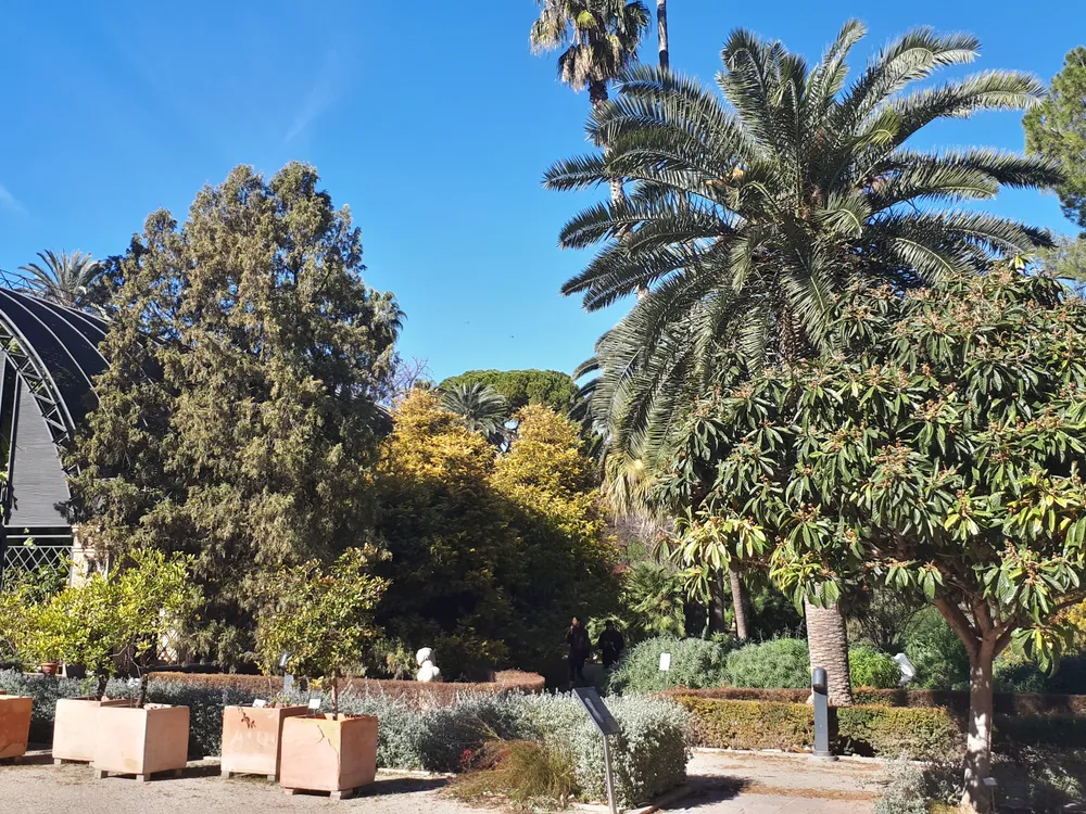 Jardí Botànic de la Universitat de València