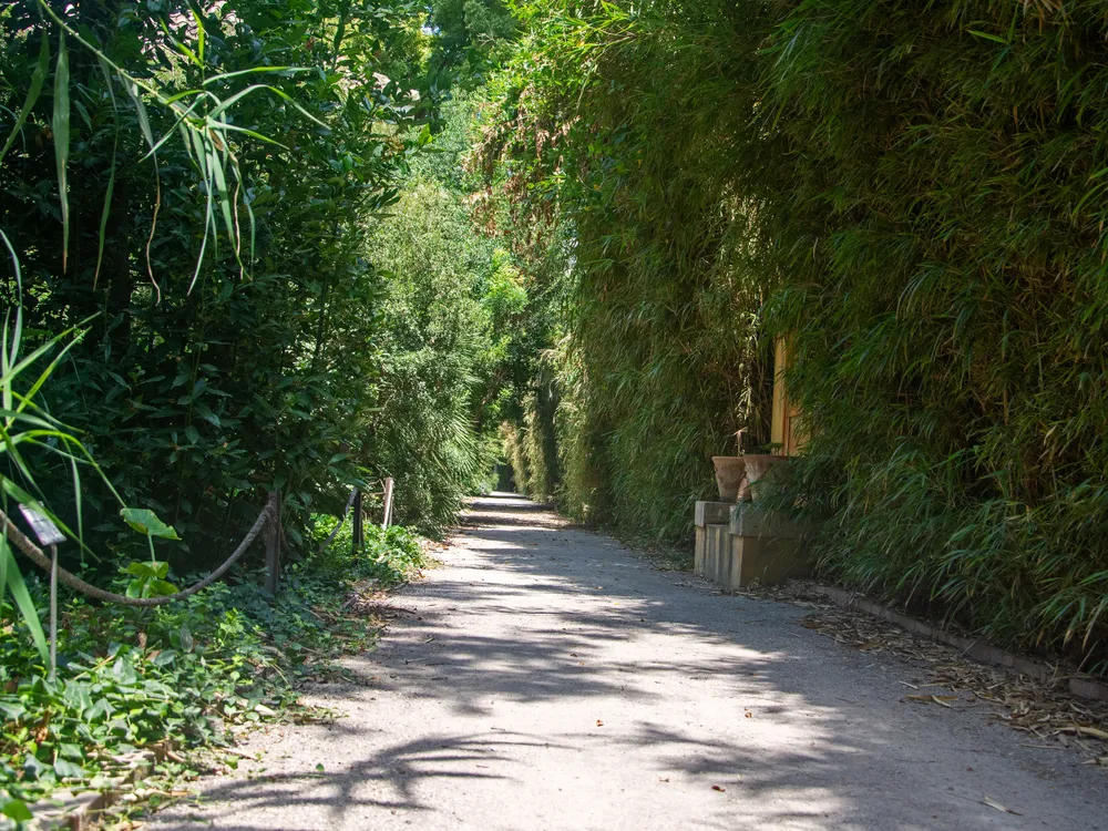 Jardí Botànic de la Universitat de València