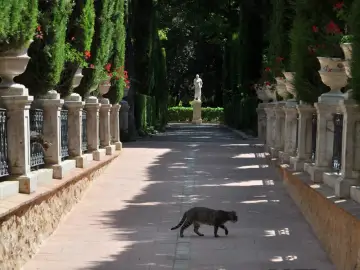 Jardines de Monforte