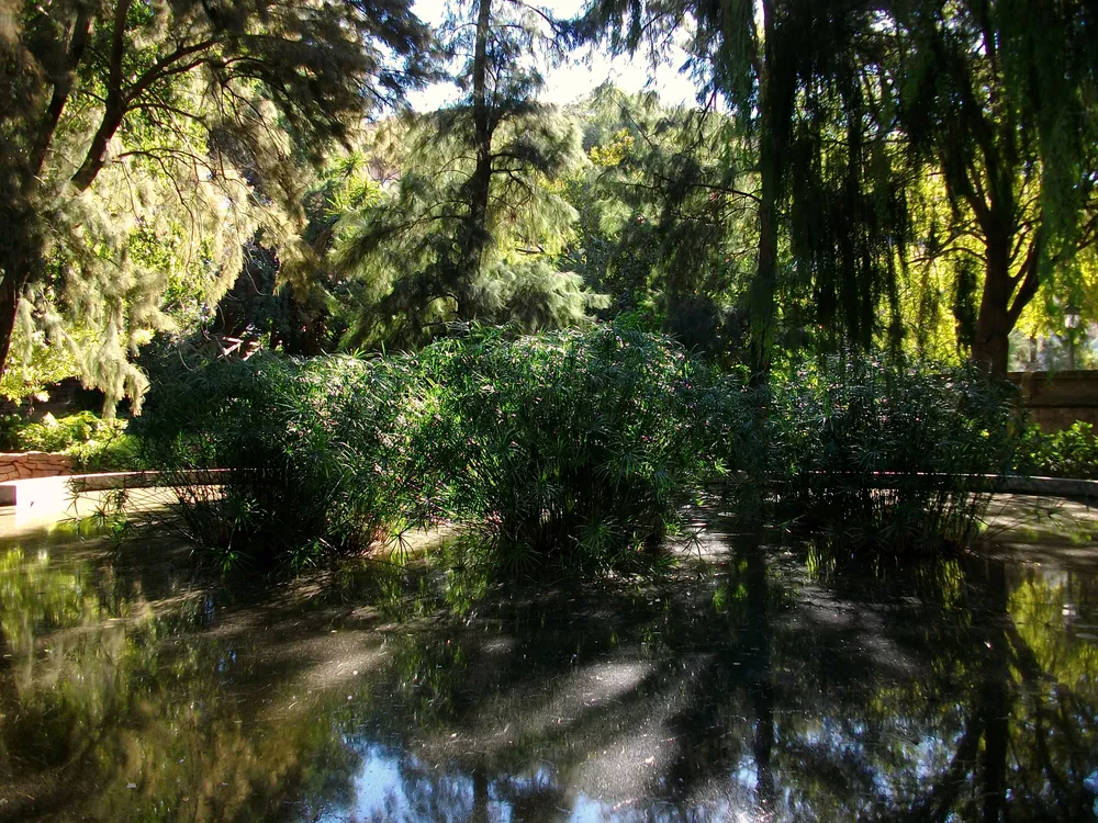 Jardines de Monforte