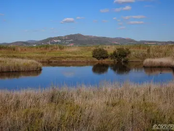 Marjal de El Puig