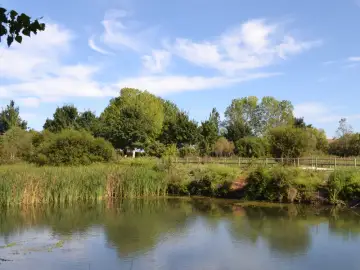 Marjal de Gandia (Ullal de l'Estany)