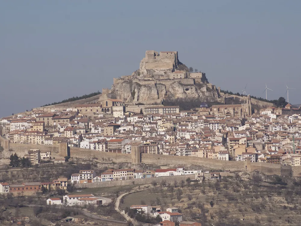 Morella
