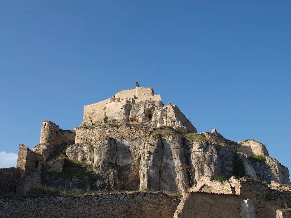Morella