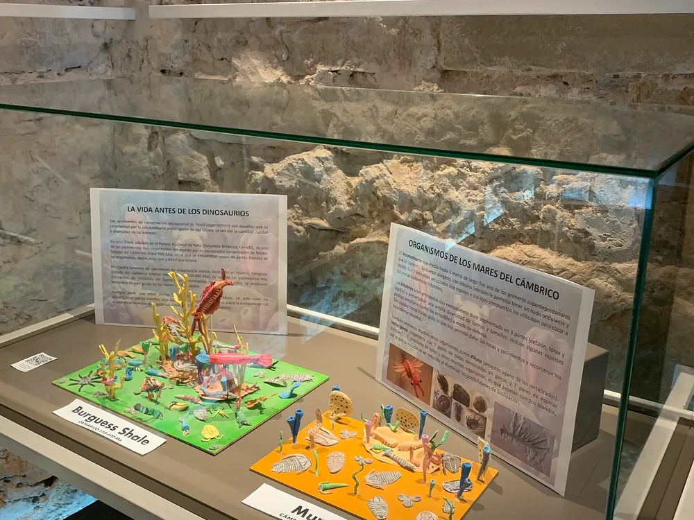 Museo Paleontológico de Alpuente (MUPAL)