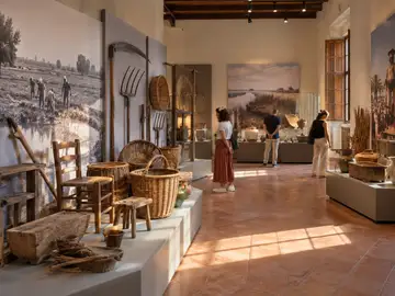 Museu Valencià d'Etnologia (La Beneficència)