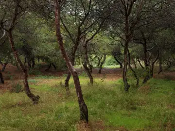 Paraje Natural Municipal Molino del Agua