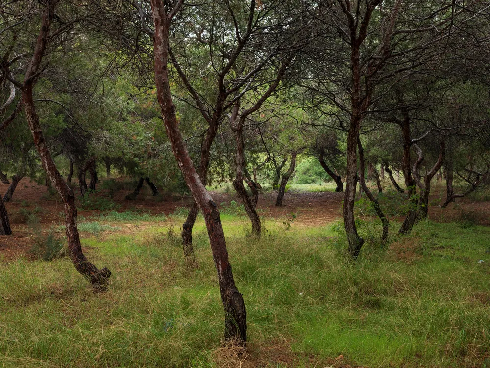 Paraje Natural Municipal Molino del Agua