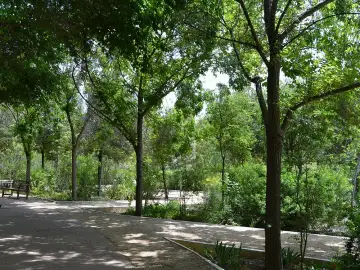 Parque de Marxalenes