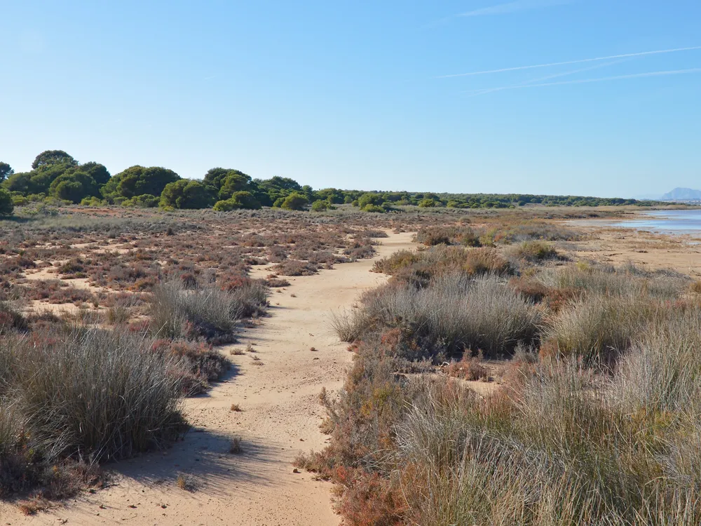 Parque Natural de las Lagunas de La Mata y Torrevieja (Laguna Rosa)