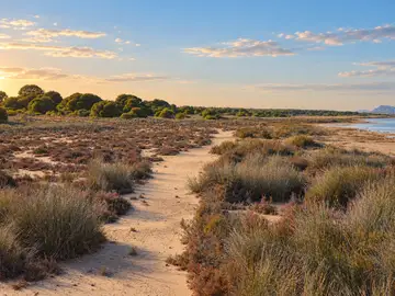 Parque Natural de las Lagunas de La Mata y Torrevieja (Laguna Rosa)