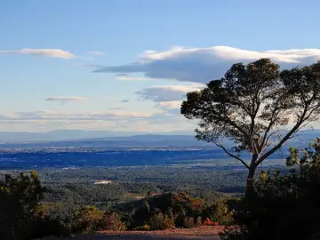 Parque Natural del Turia