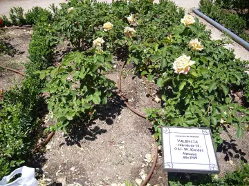 Parque del Oeste