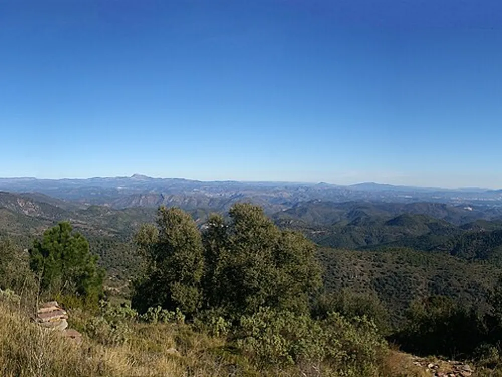 Pico de la Rápita