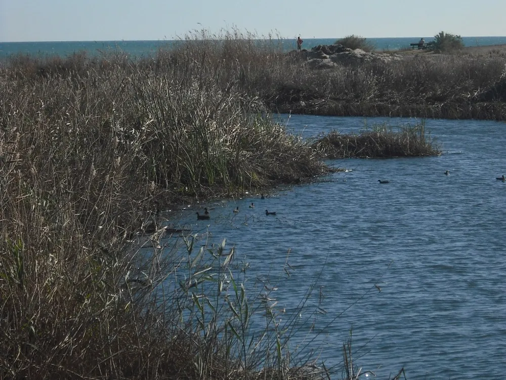 Platja dels Peixets