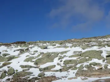 Torre de Ria
