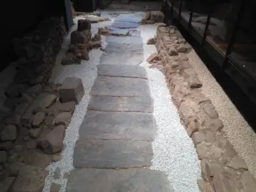 Vía del Pòrtic i Domus dels Peixos