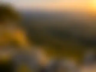 俯瞰軟木橡樹林的觀景點