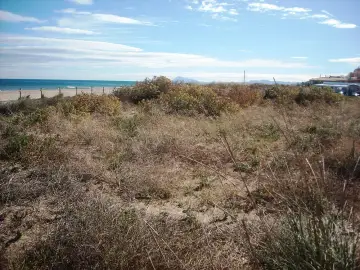 La Goleta i la desembocadura del Riu Vaca