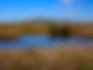 水與鳥類：認識瓦倫西亞的一處濕地