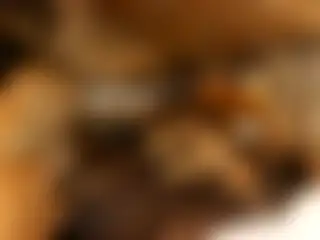 從洞口看風景：瓦倫西亞的一處洞穴