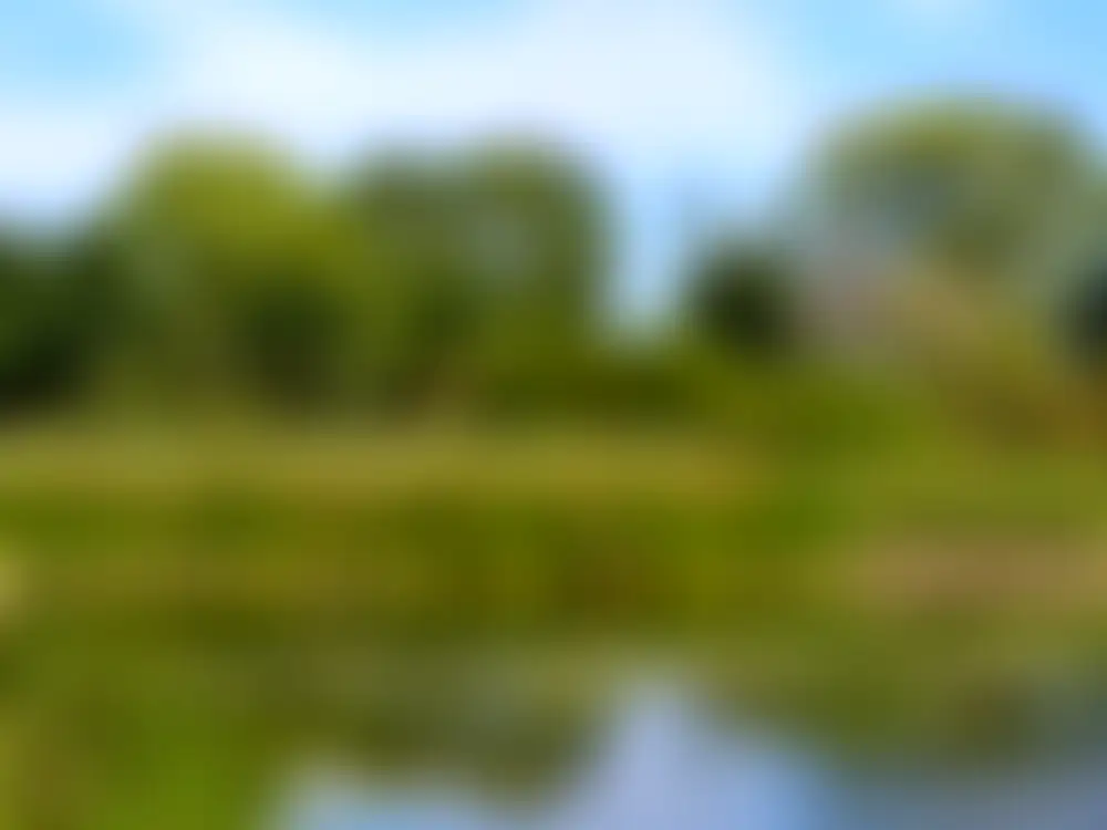 El ojo de agua transparente como un acuario