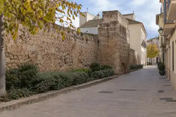 Alzira