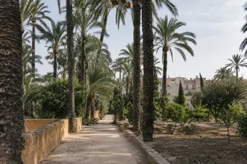 Elche