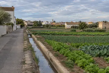 Meliana